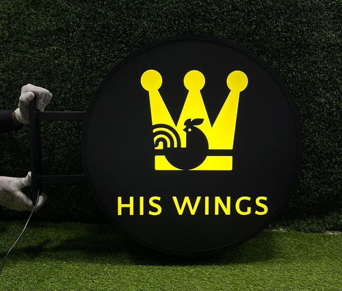 HIS WINGS