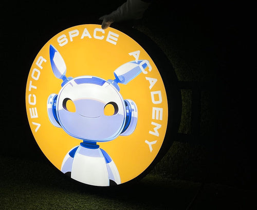 vector space academy