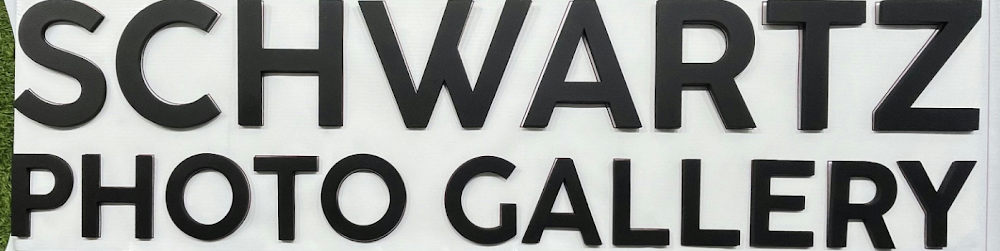 Shwartz Gallery
