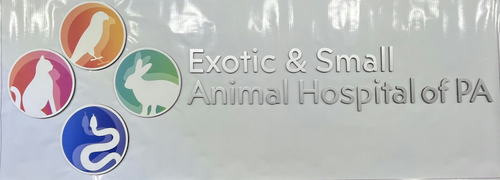 Exotic Animal Clininc