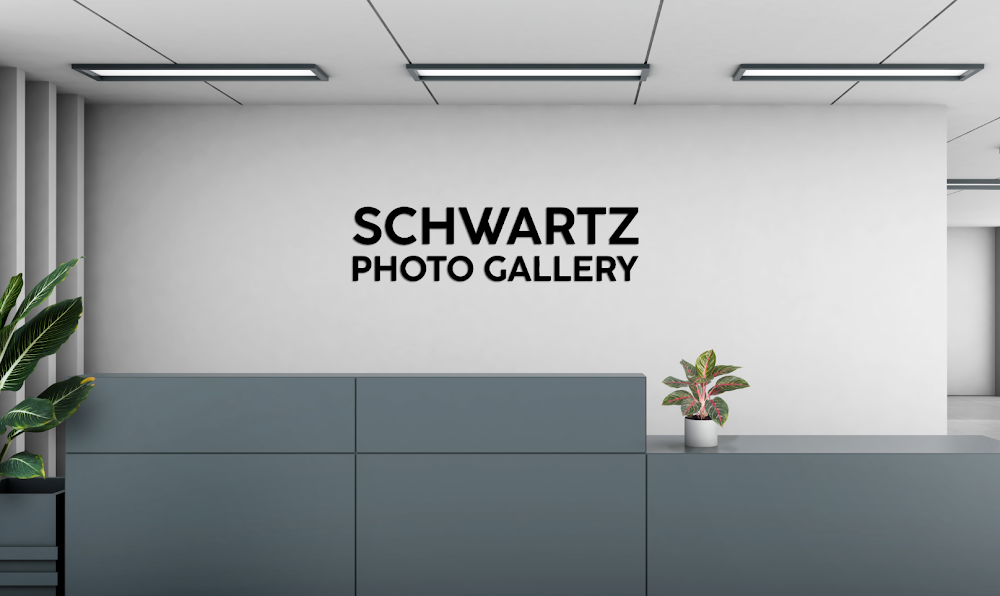 Shwartz Gallery