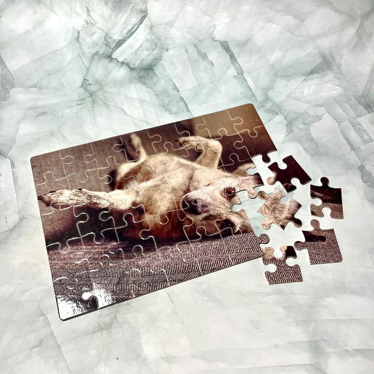 Custom Photo Puzzle | Personalized Jigsaw with Your Picture Gift