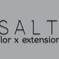 Salt extensions