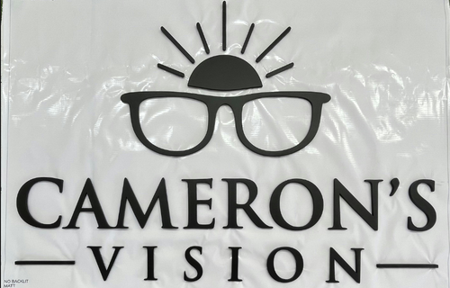 Cameron's Vision