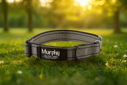 Personalized Engraved Dog Collar