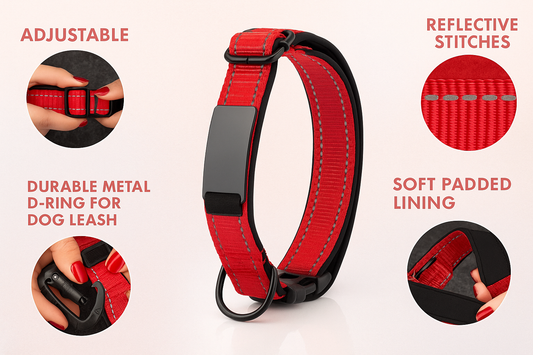 Personalized Engraved Dog Collar