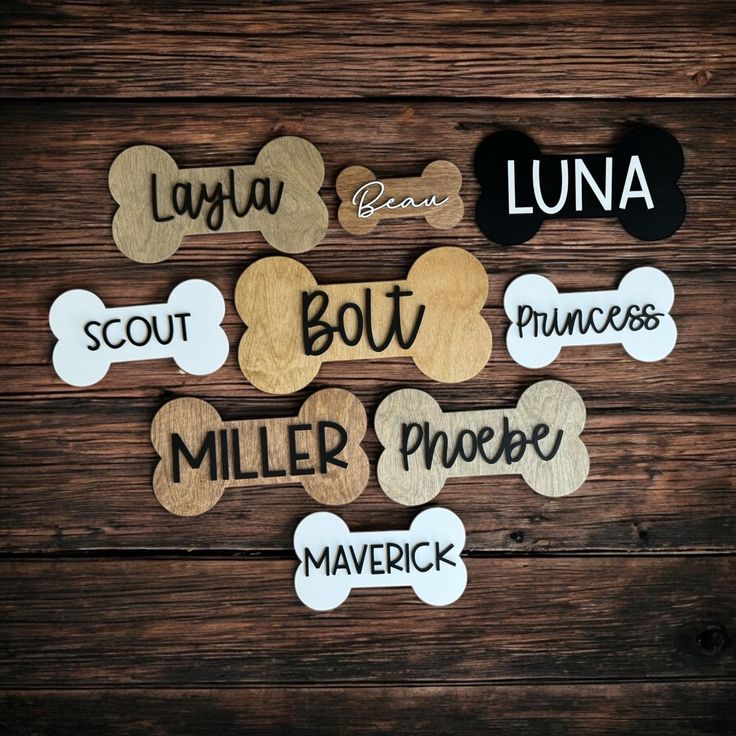 Personalized Dog Bone Name Sign | Custom Crate & Kennel Tag