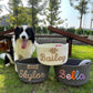 Personalized Pet Toy Basket  Custom Cotton Storage for Dog & Cat Toys