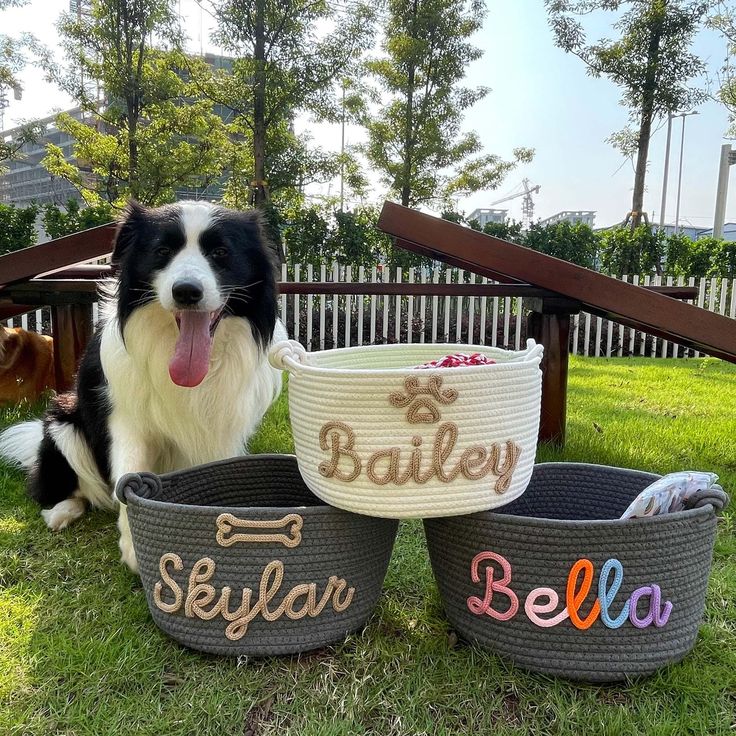 Personalized Pet Toy Basket  Custom Cotton Storage for Dog & Cat Toys