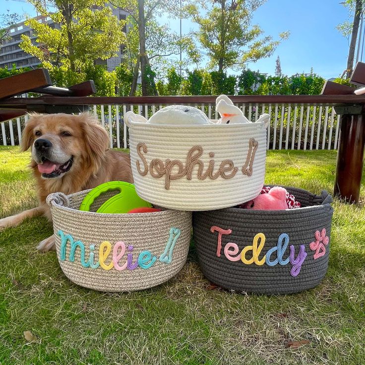 Personalized Pet Toy Basket  Custom Cotton Storage for Dog & Cat Toys