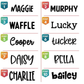 Personalized Engraved Dog Collar