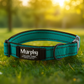 Personalized Engraved Dog Collar