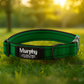 Personalized Engraved Dog Collar