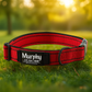 Personalized Engraved Dog Collar