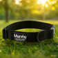 Personalized Engraved Dog Collar