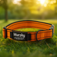 Personalized Engraved Dog Collar