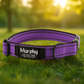 Personalized Engraved Dog Collar