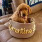 Personalized Pet Toy Basket  Custom Cotton Storage for Dog & Cat Toys